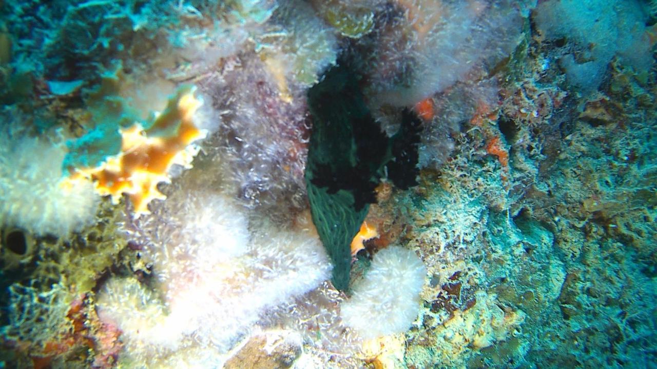 Fumba Beach Lodge