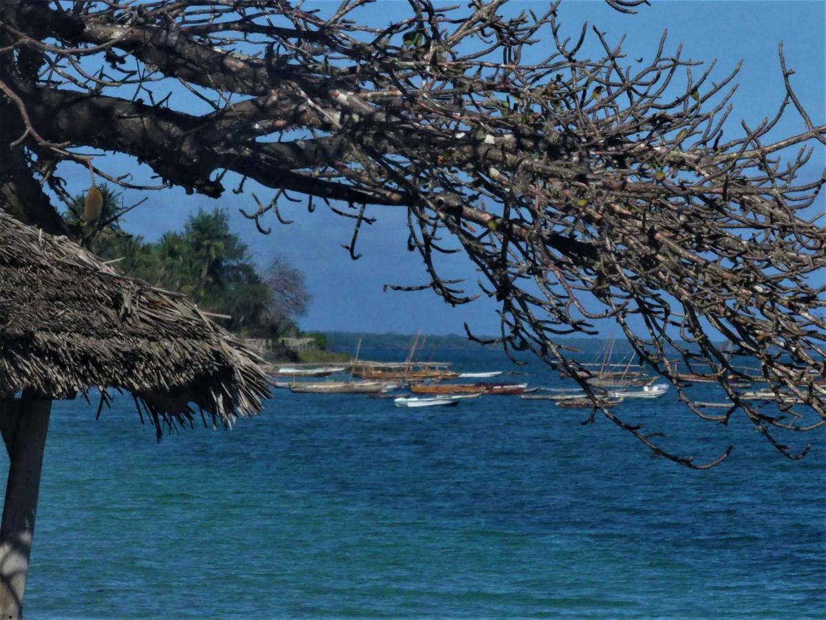 Resort Fumba Beach Lodge 4*